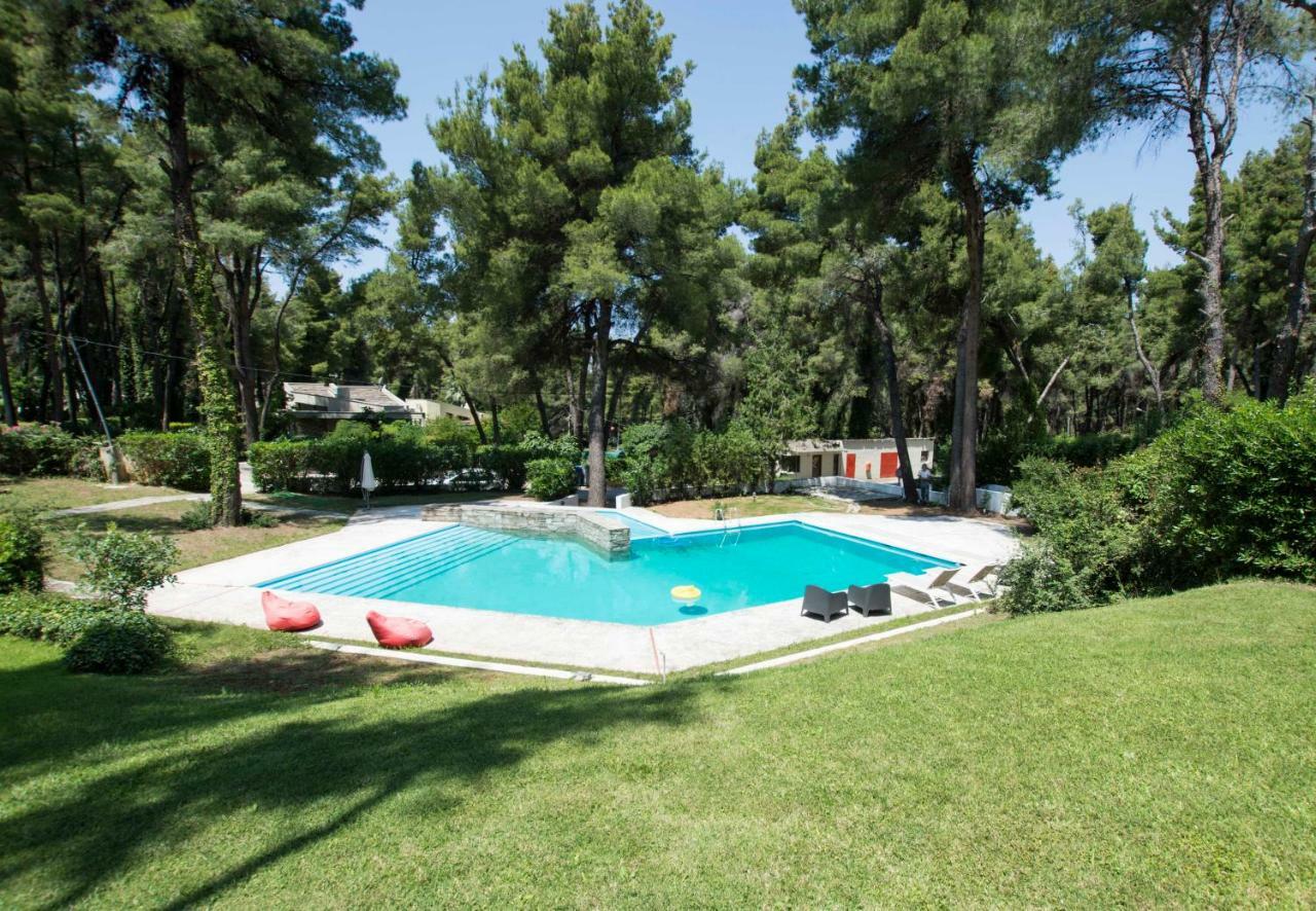 Villa Aurora In Sani With Garden And Pool المظهر الخارجي الصورة